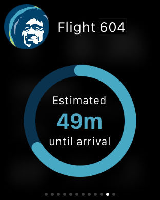Figure 1 -- Donut chart showing progress towards completion of a flight.