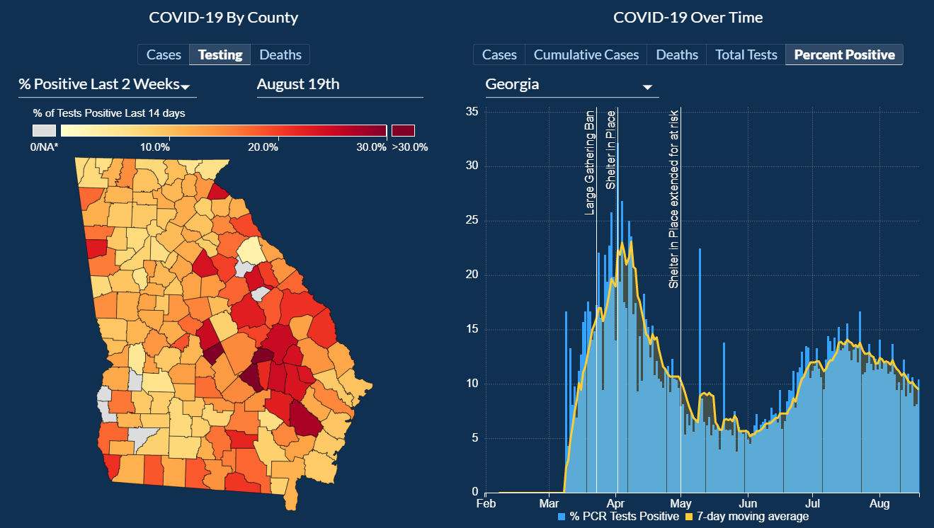 Georgia Department of Health web site example