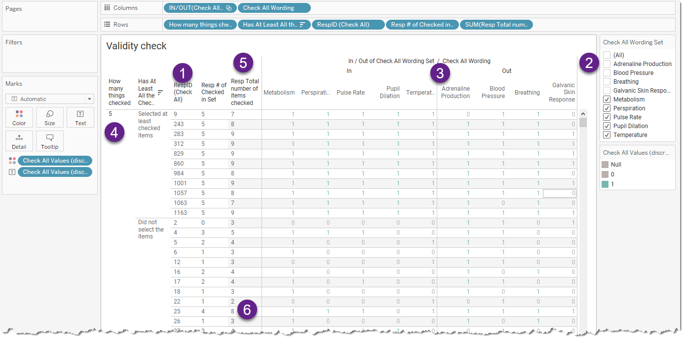 A validity check cross tab showing the results for key fields.